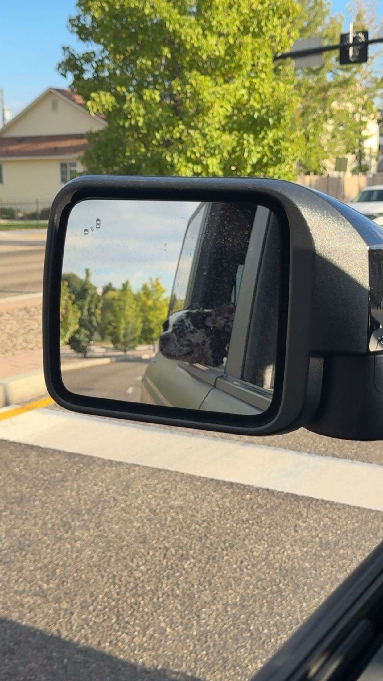 realhaylujan snapchat image archive image