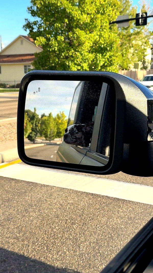 realhaylujan image ~ Altpins