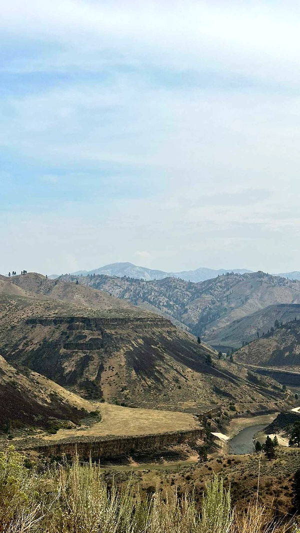 realhaylujan image ~ Altpins