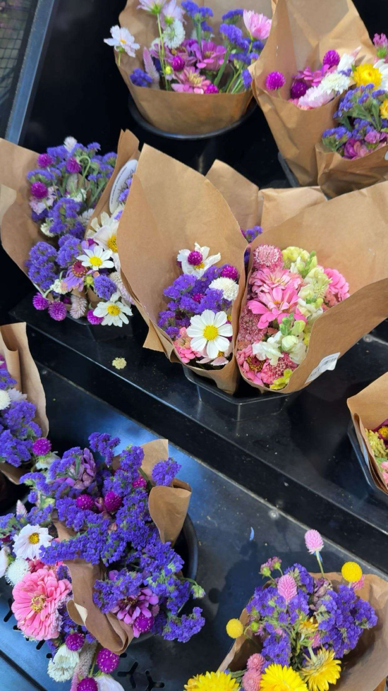 realhaylujan snapchat image archive image