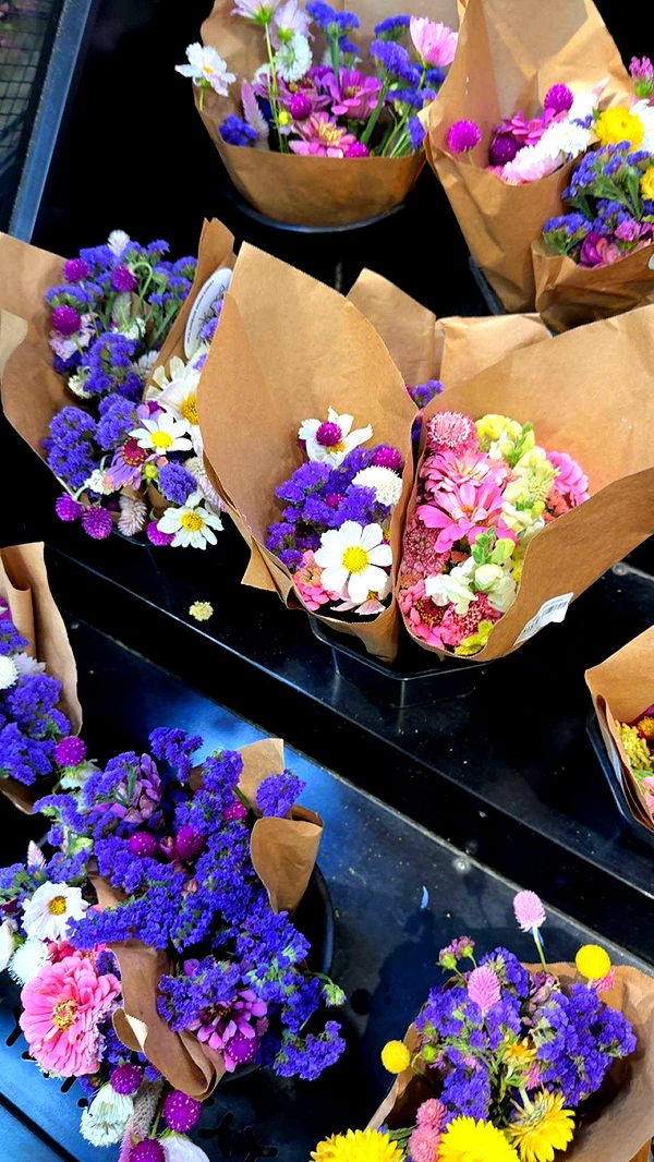 realhaylujan image ~ Altpins