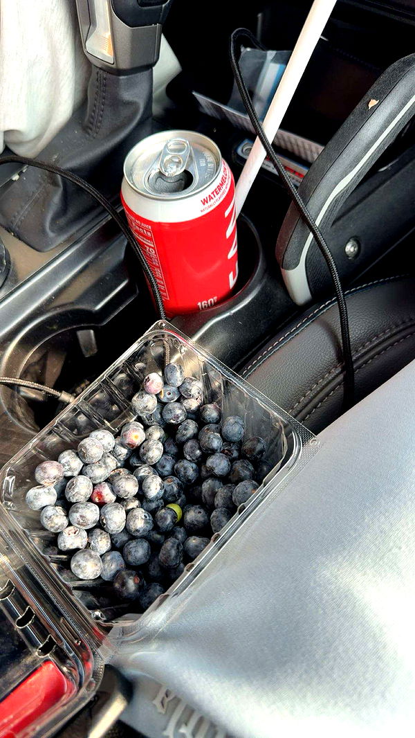 realhaylujan image ~ Altpins