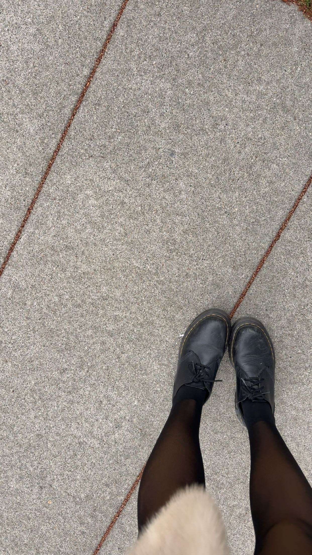 realhaylujan snapchat image archive image