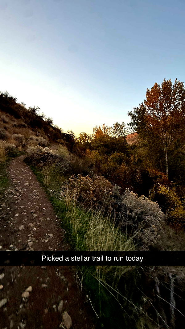 realhaylujan image ~ Altpins