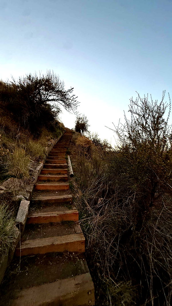 realhaylujan image ~ Altpins