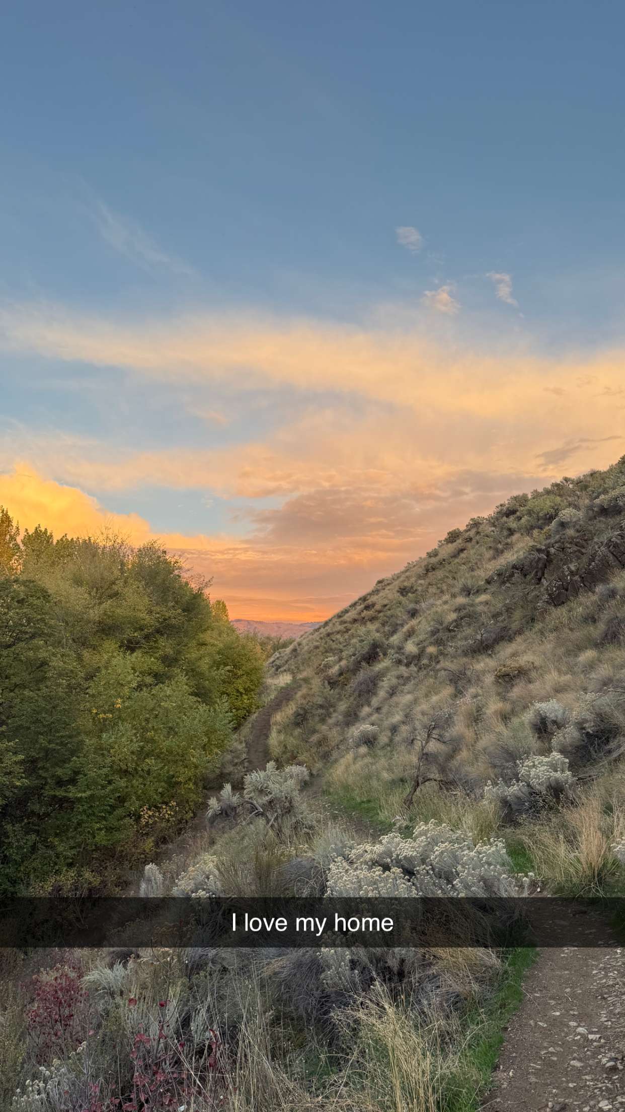 realhaylujan snapchat image archive image