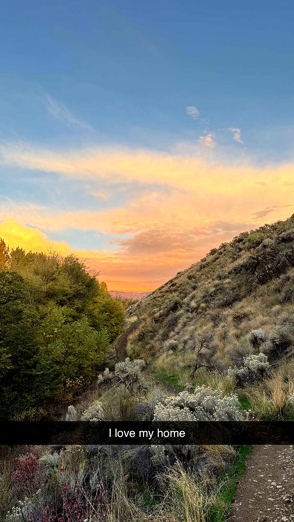 realhaylujan image ~ Altpins