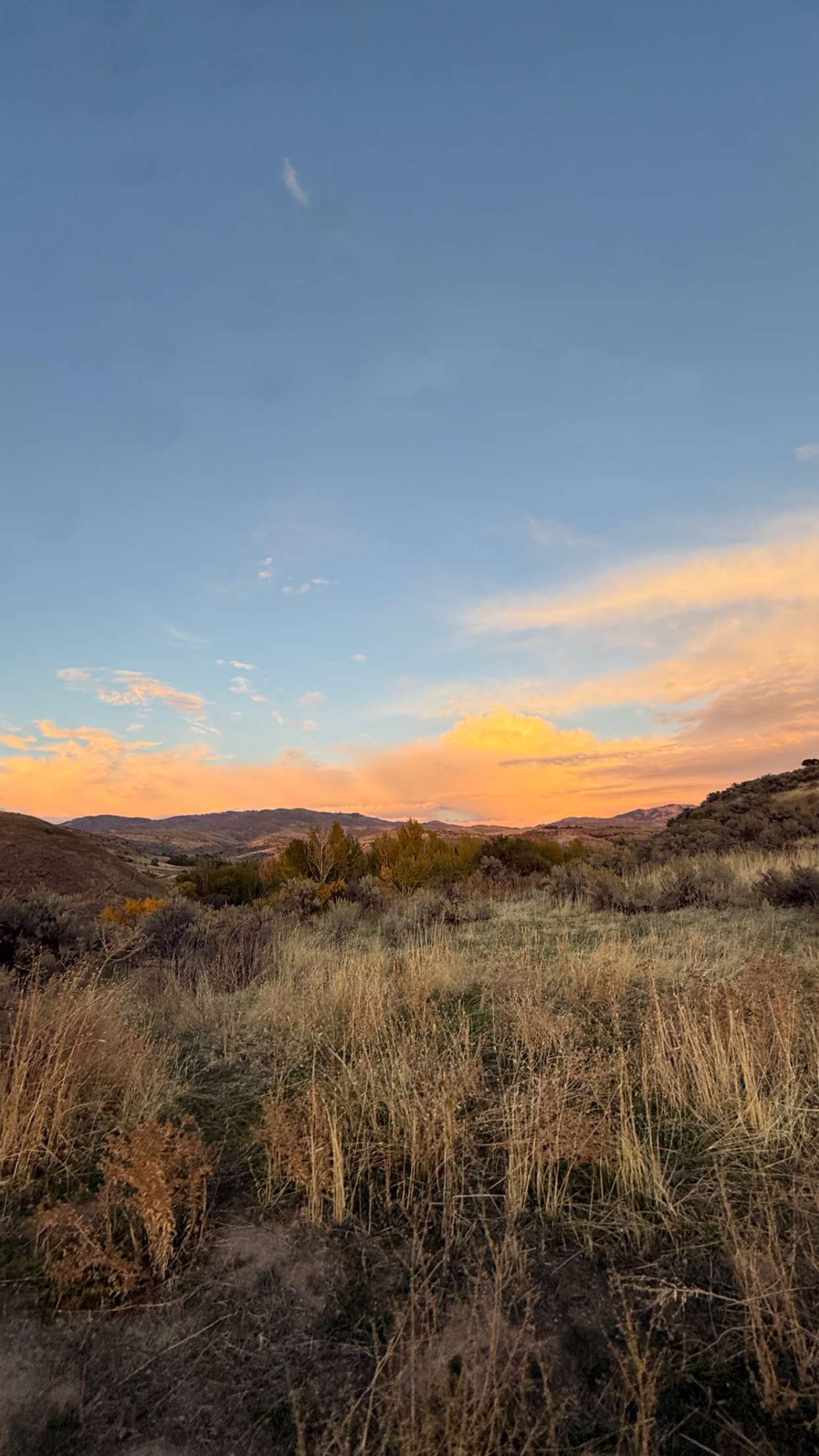 realhaylujan snapchat image archive image