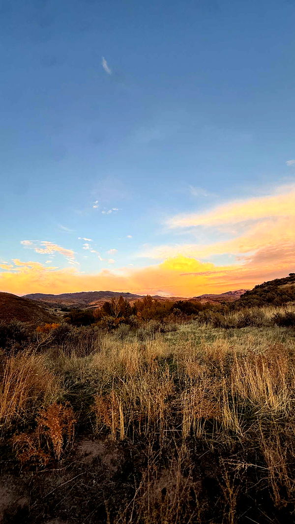 realhaylujan image ~ Altpins