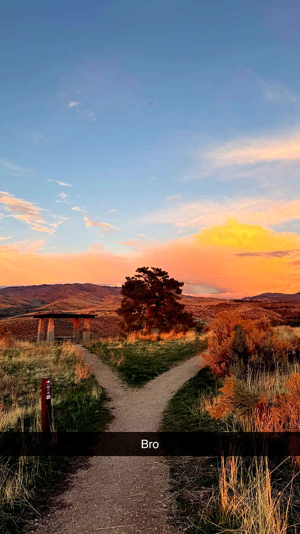 realhaylujan image ~ Altpins