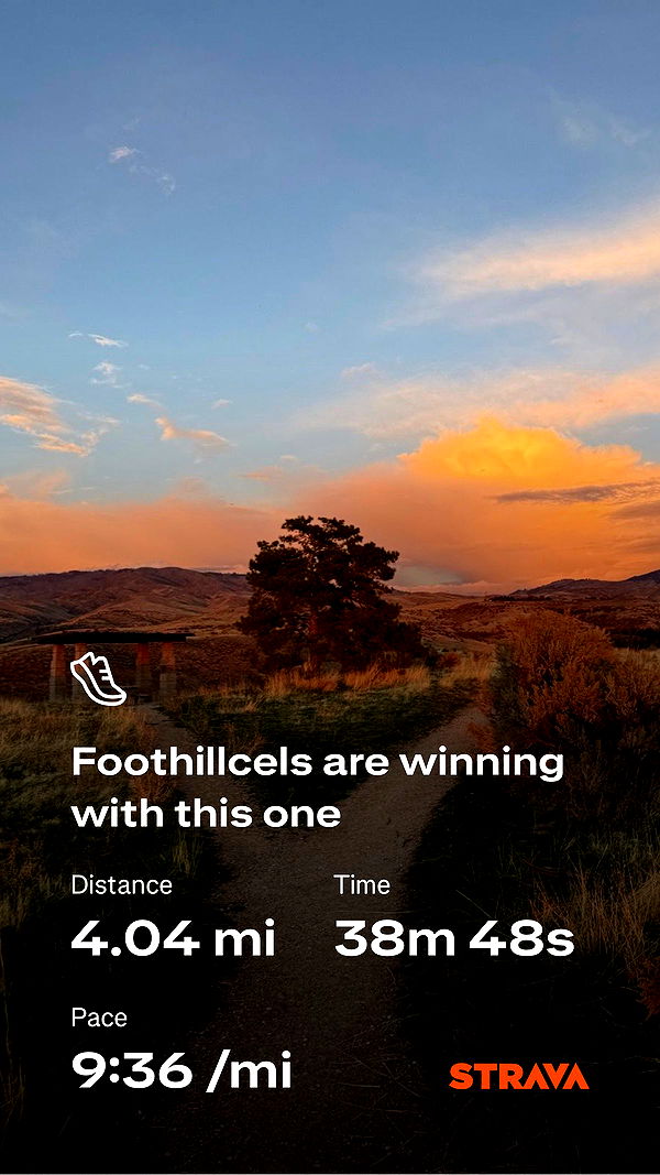 realhaylujan image ~ Altpins