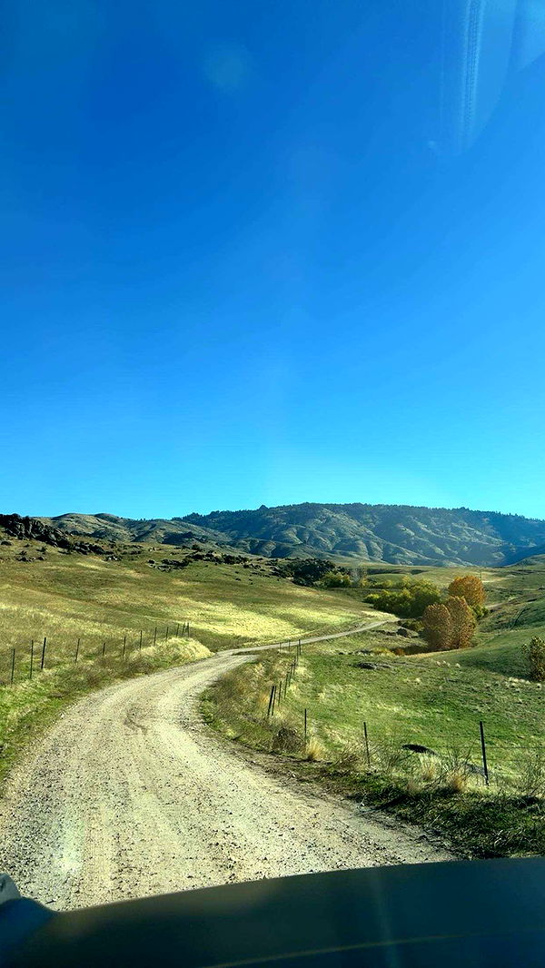 realhaylujan image ~ Altpins