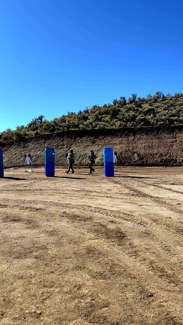 realhaylujan image ~ Altpins