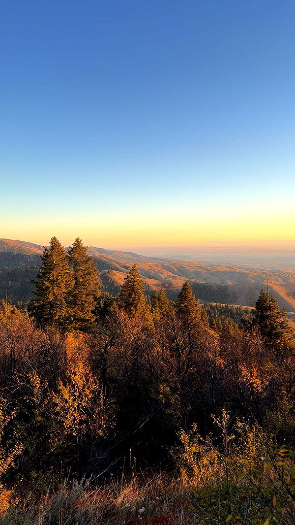 realhaylujan image ~ Altpins