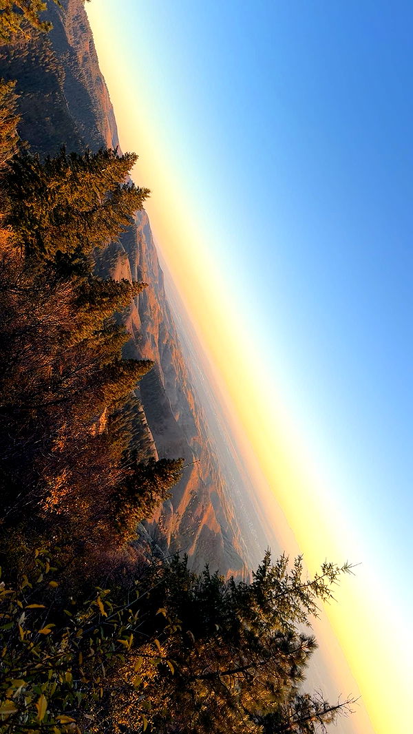 realhaylujan image ~ Altpins