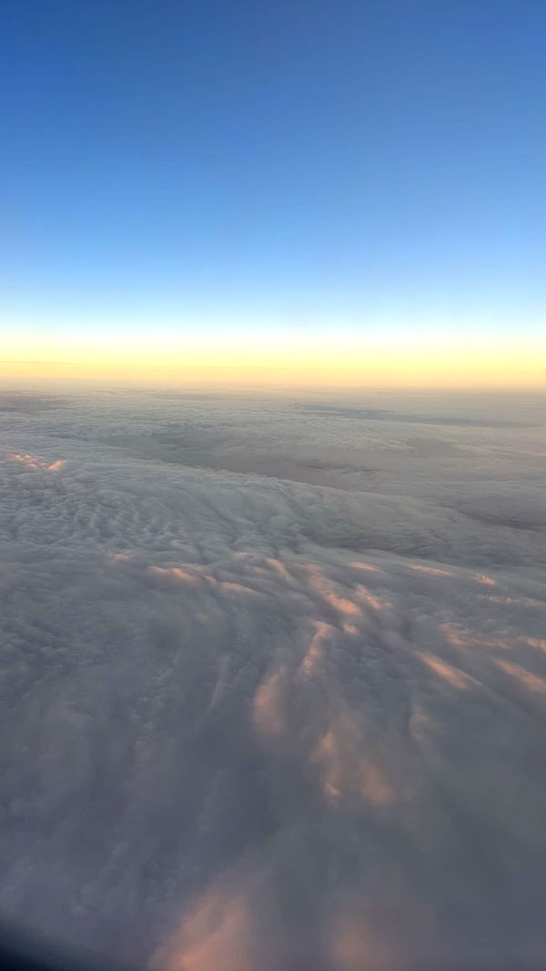 realhaylujan image ~ Altpins