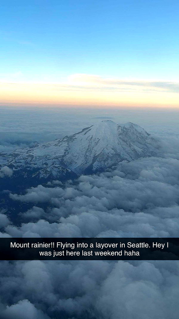 realhaylujan image ~ Altpins