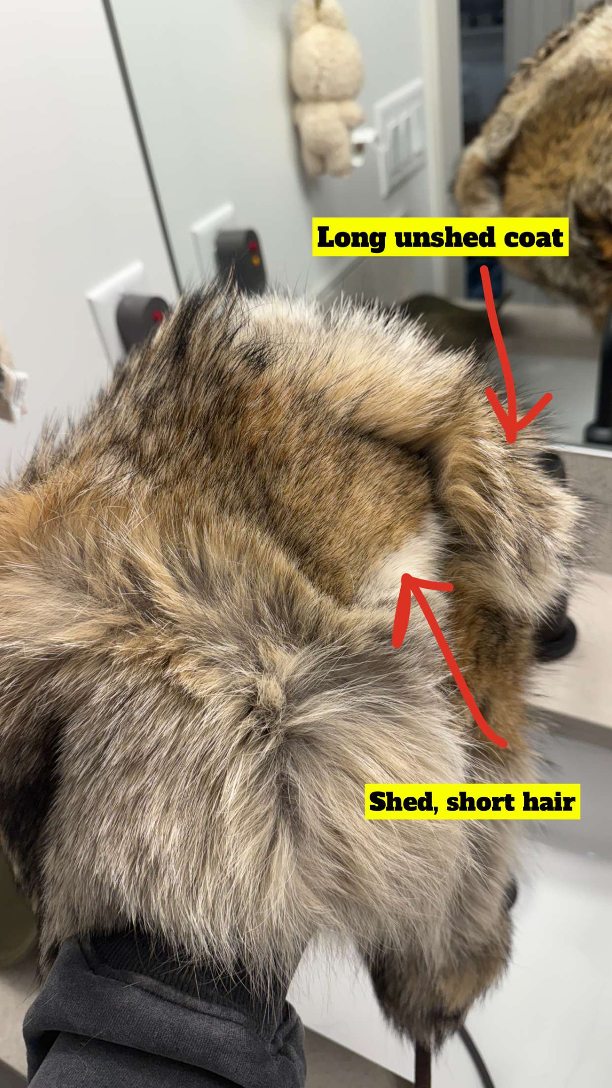 realhaylujan snapchat image archive image