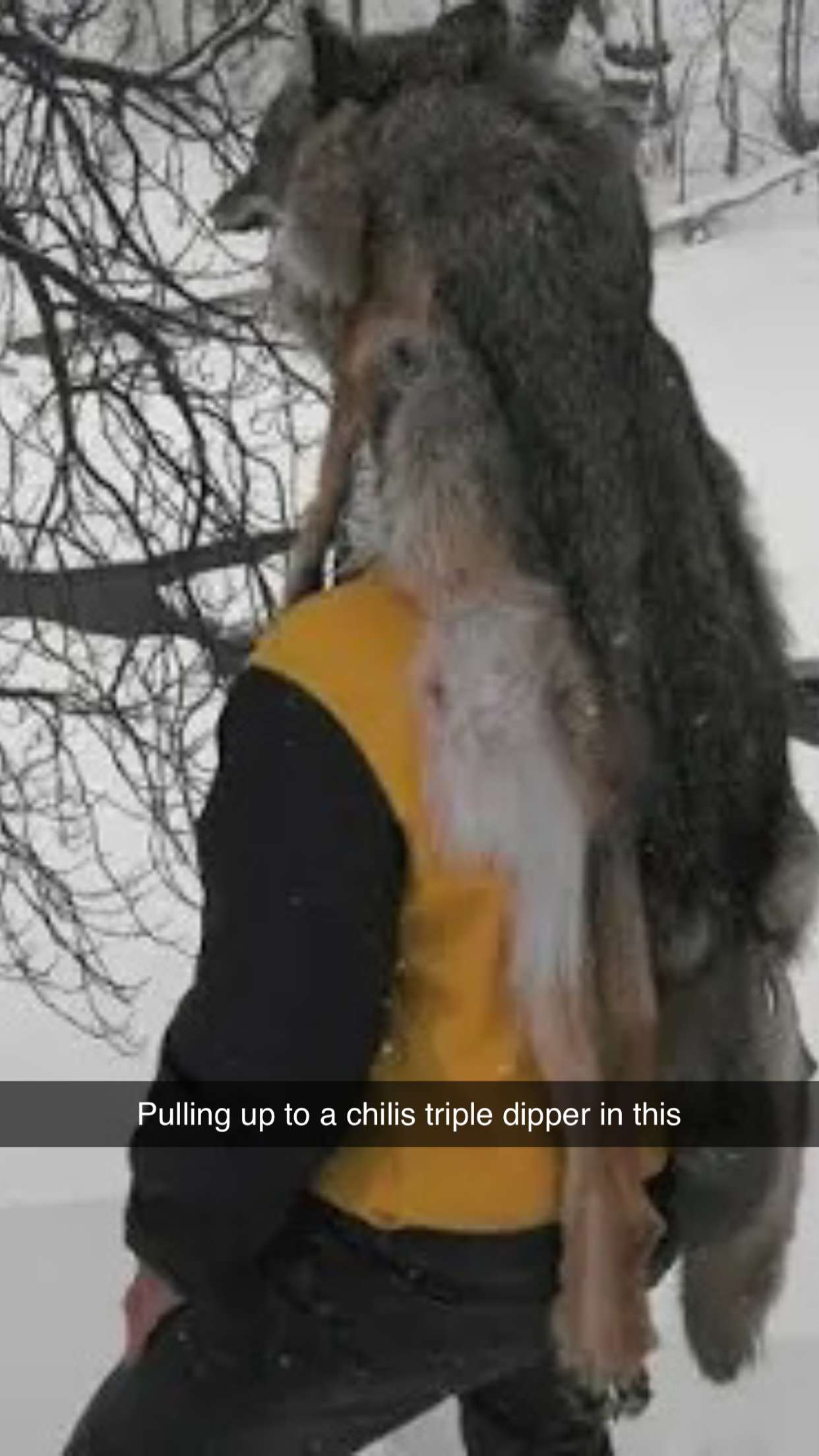 realhaylujan snapchat image archive image