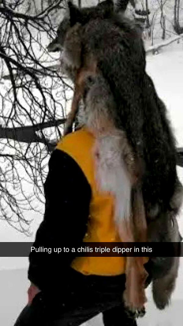 realhaylujan image ~ Altpins