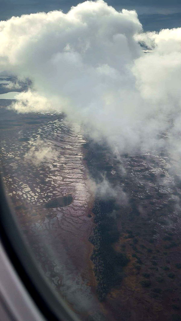 realhaylujan image ~ Altpins