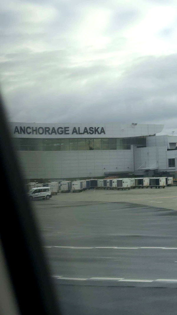 realhaylujan image ~ Altpins