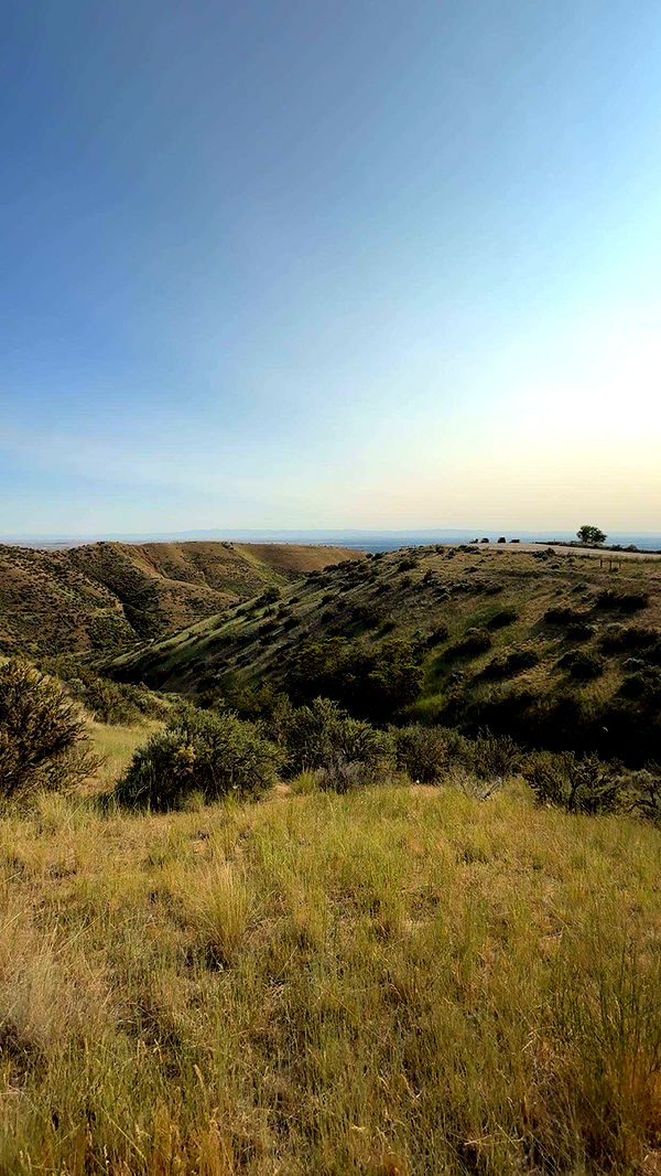 realhaylujan image ~ Altpins