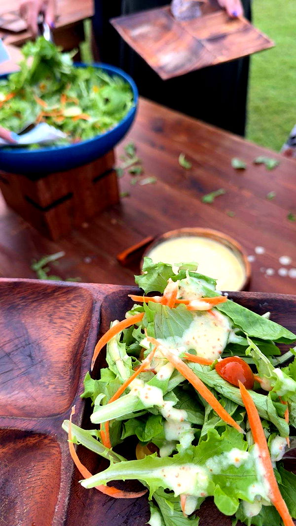 realhaylujan image ~ Altpins