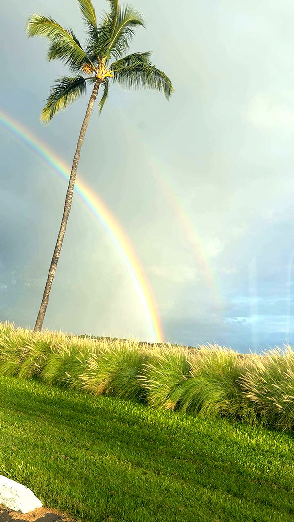 realhaylujan image ~ Altpins