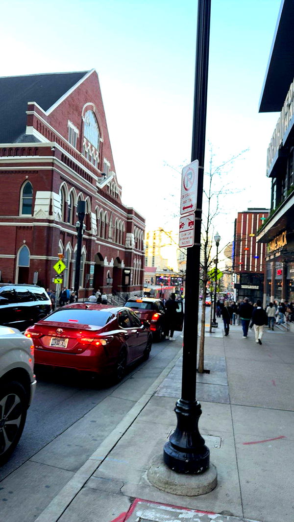 realhaylujan image ~ Altpins