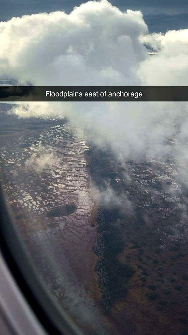 realhaylujan image ~ Altpins