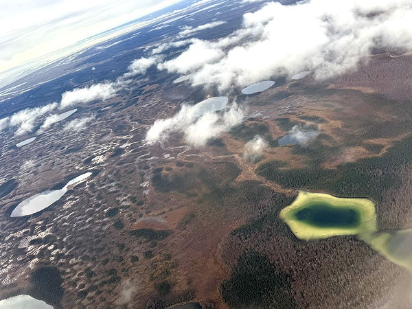 realhaylujan image ~ Altpins