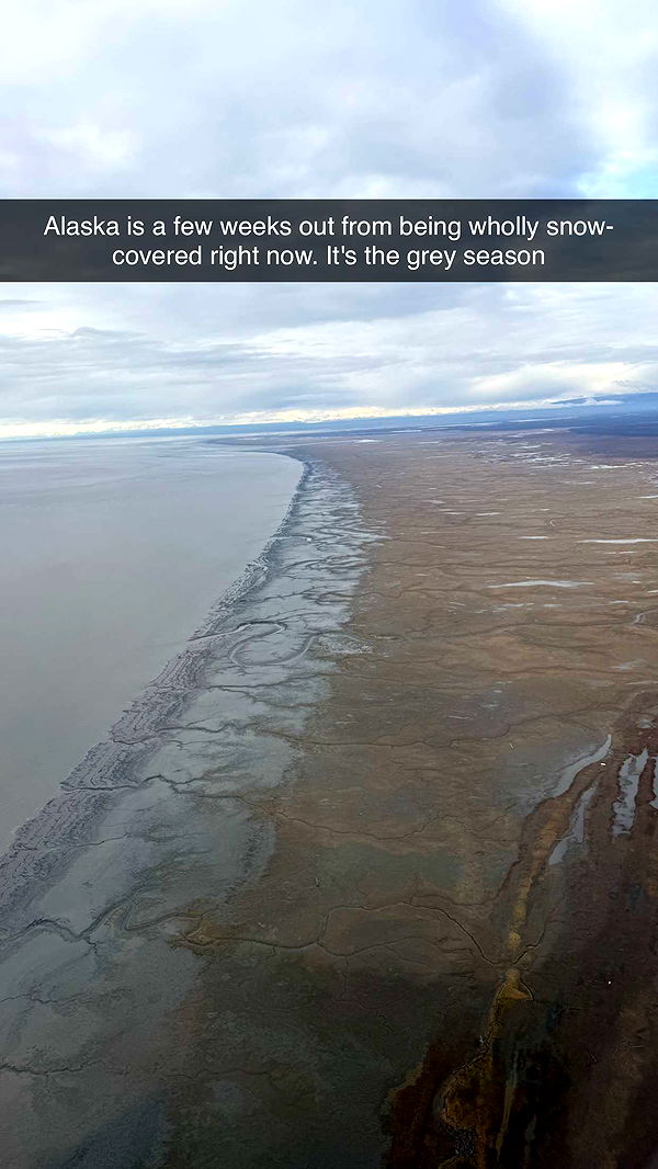 realhaylujan image ~ Altpins