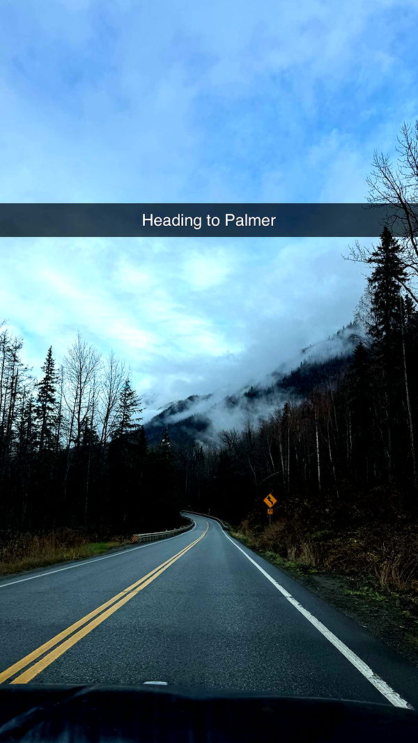 realhaylujan image ~ Altpins