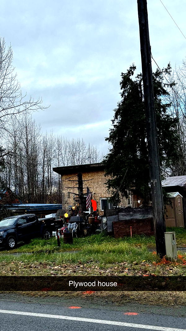 realhaylujan image ~ Altpins