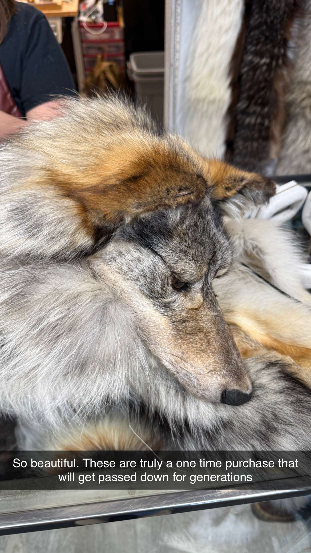 realhaylujan snapchat image archive image