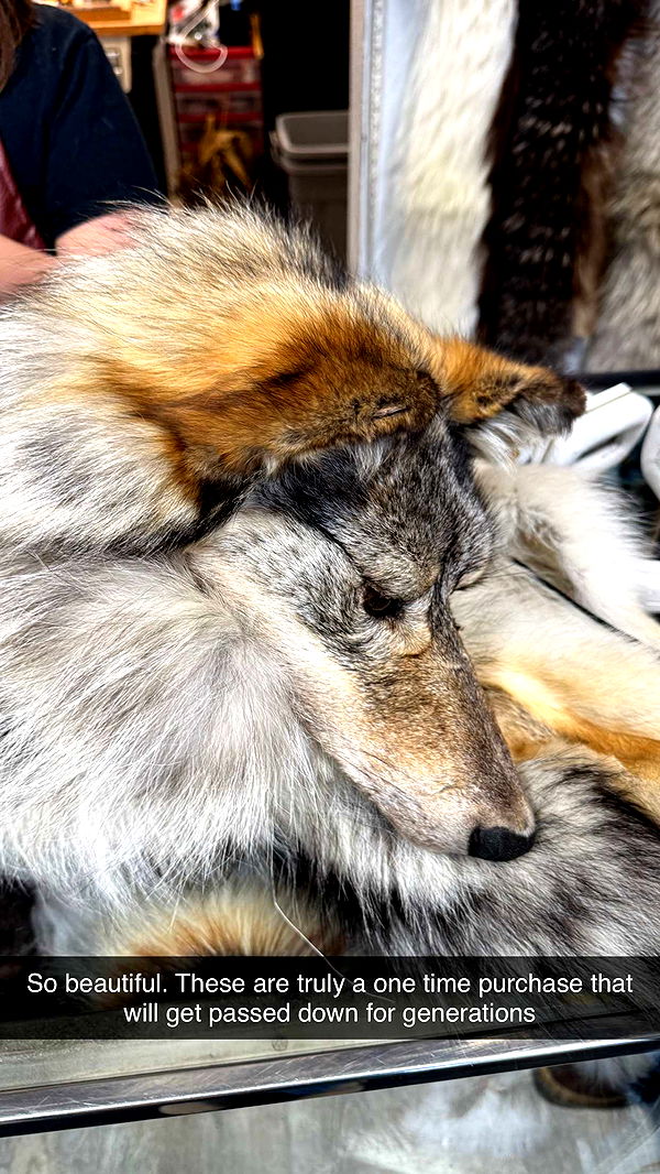 realhaylujan image ~ Altpins