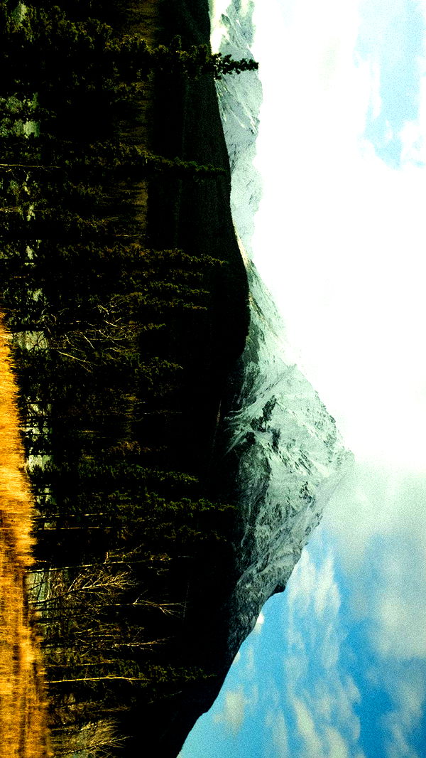 realhaylujan image ~ Altpins