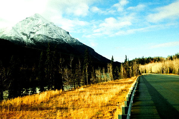 realhaylujan image ~ Altpins