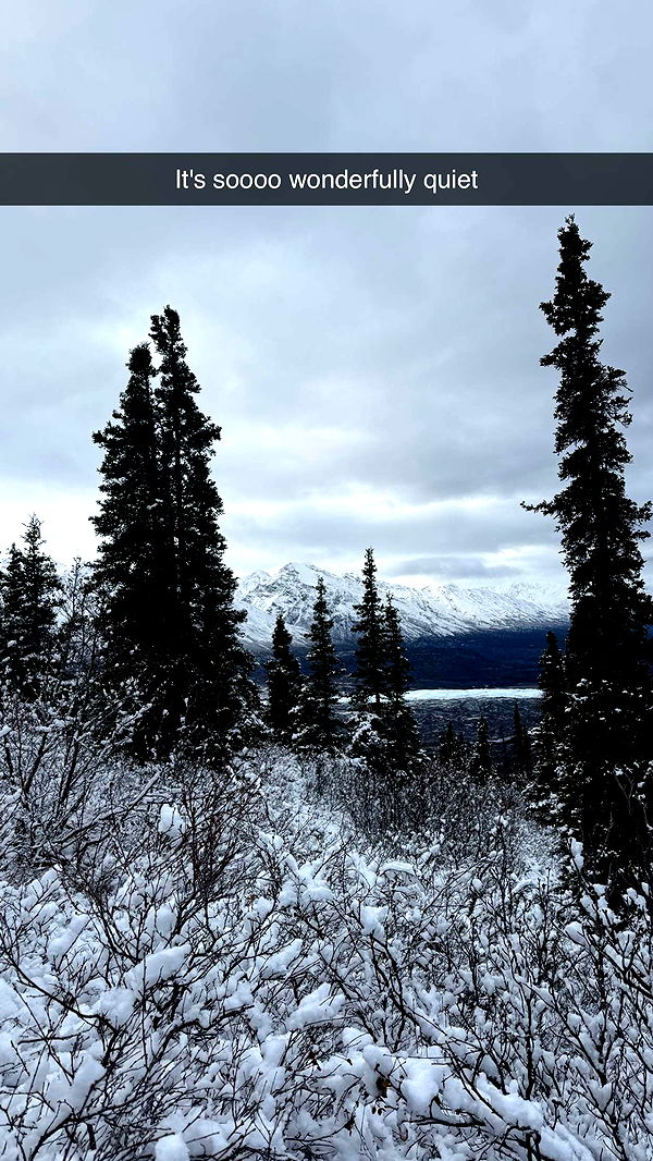 realhaylujan image ~ Altpins