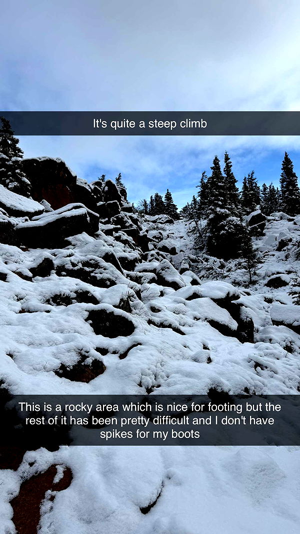 realhaylujan image ~ Altpins