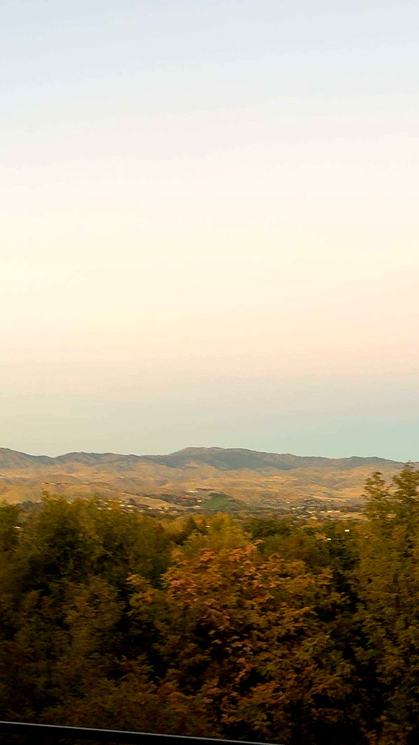 realhaylujan image ~ Altpins