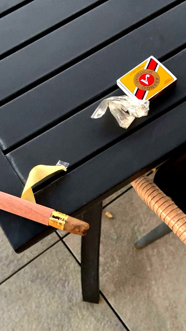 realhaylujan image ~ Altpins