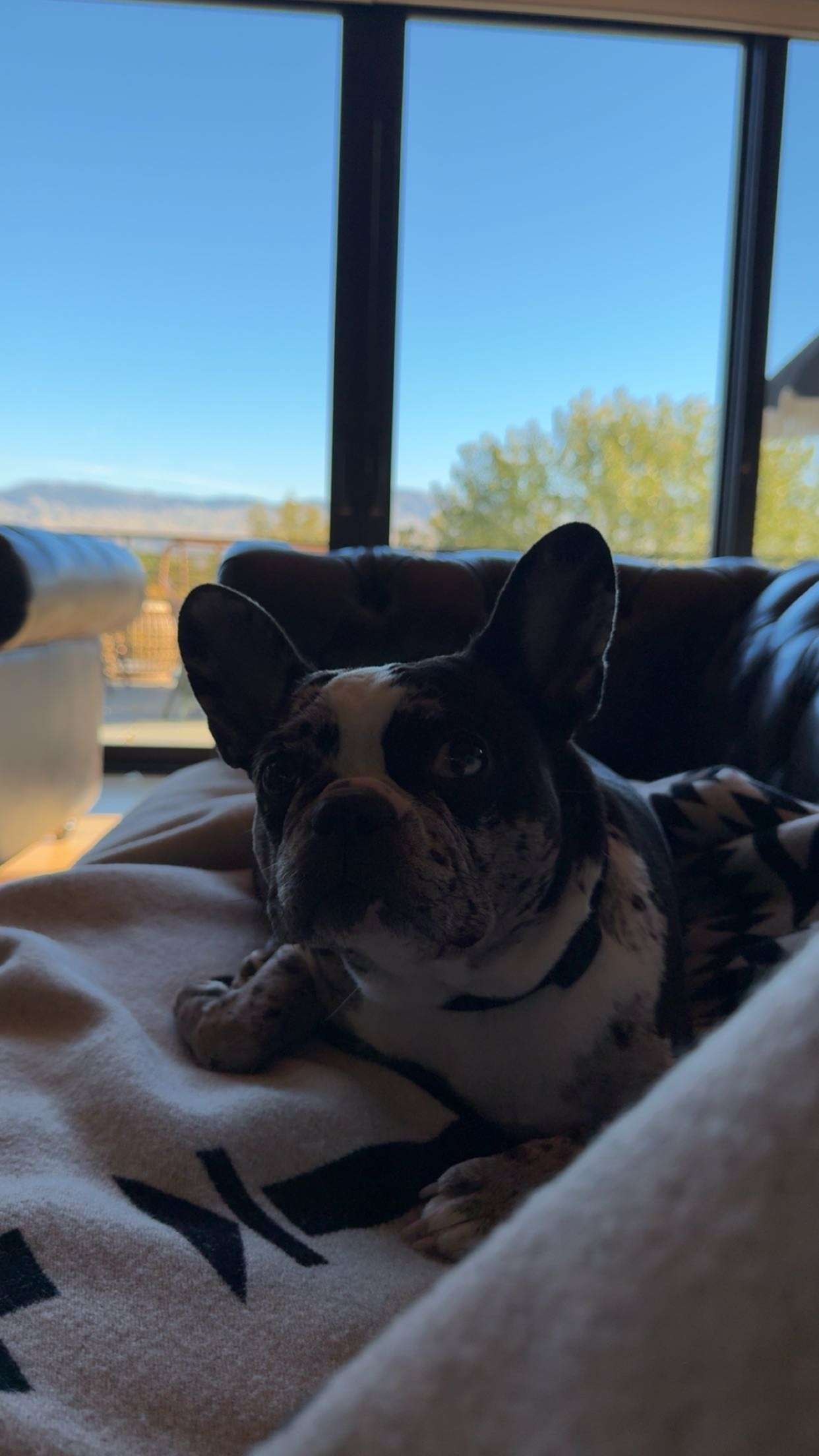 realhaylujan snapchat image archive image