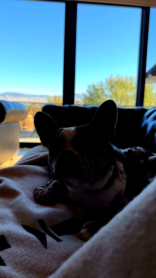 realhaylujan image ~ Altpins