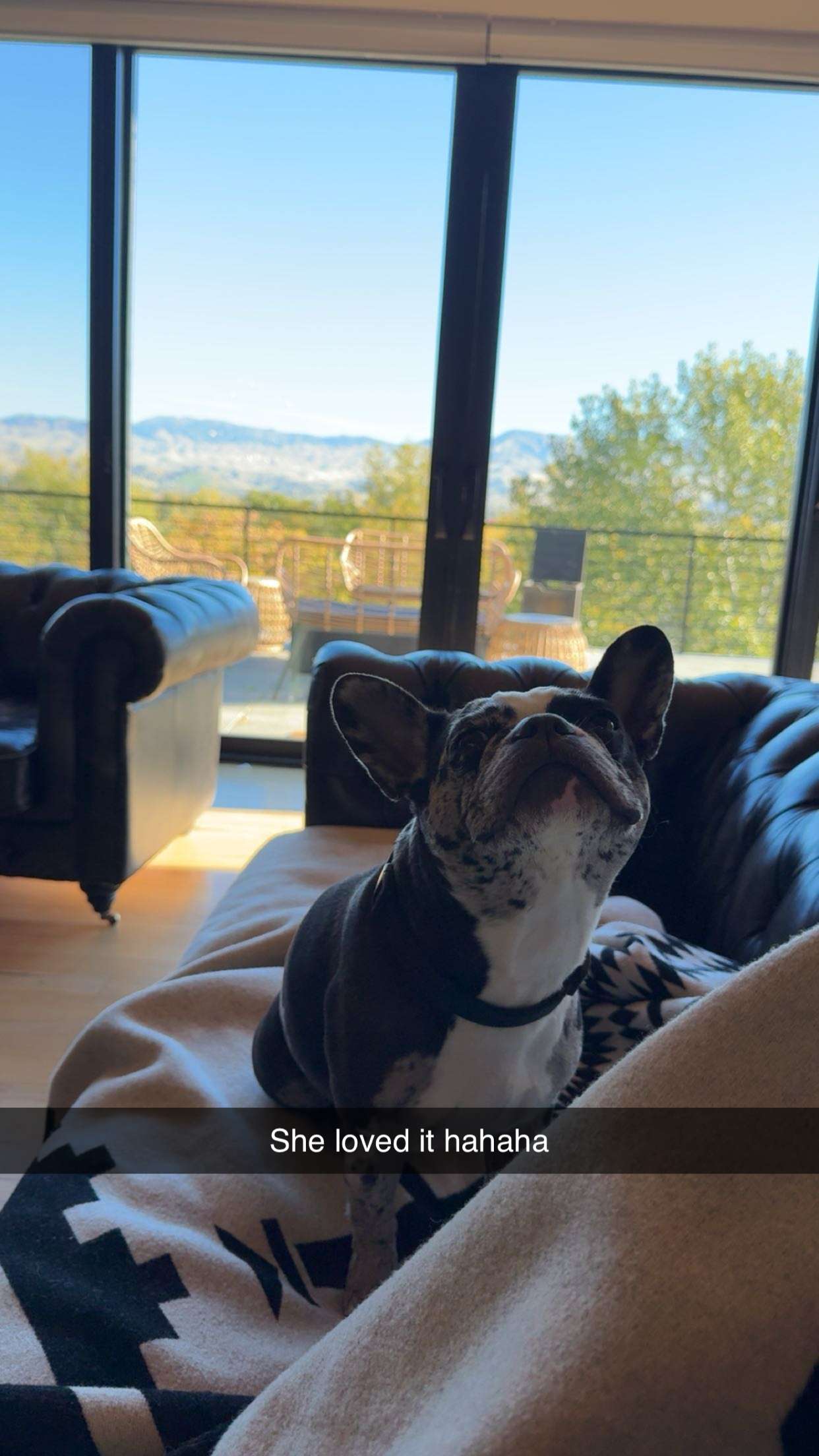 realhaylujan snapchat image archive image