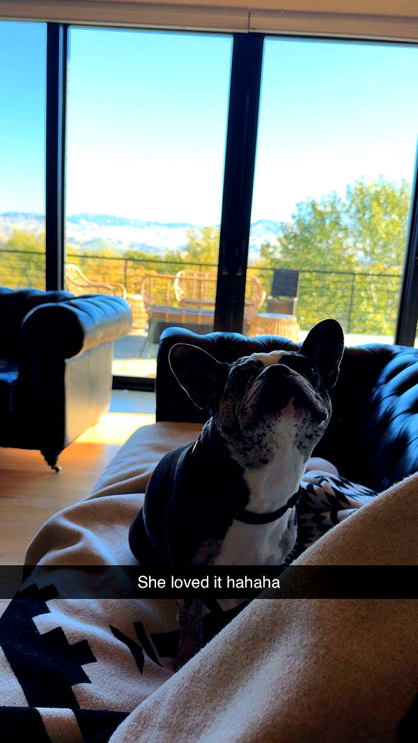 realhaylujan image ~ Altpins