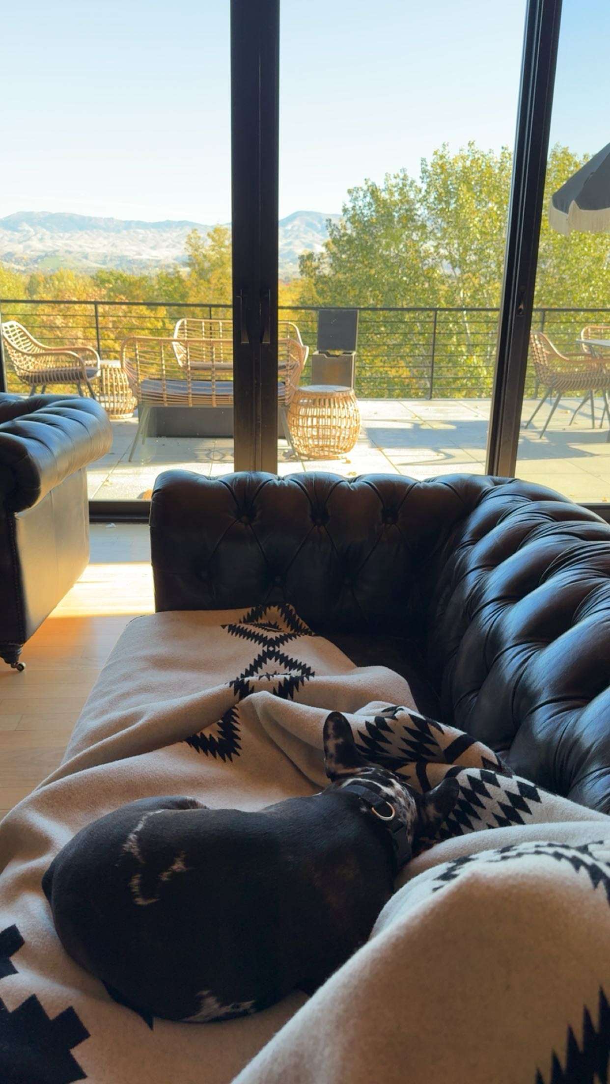 realhaylujan snapchat image archive image