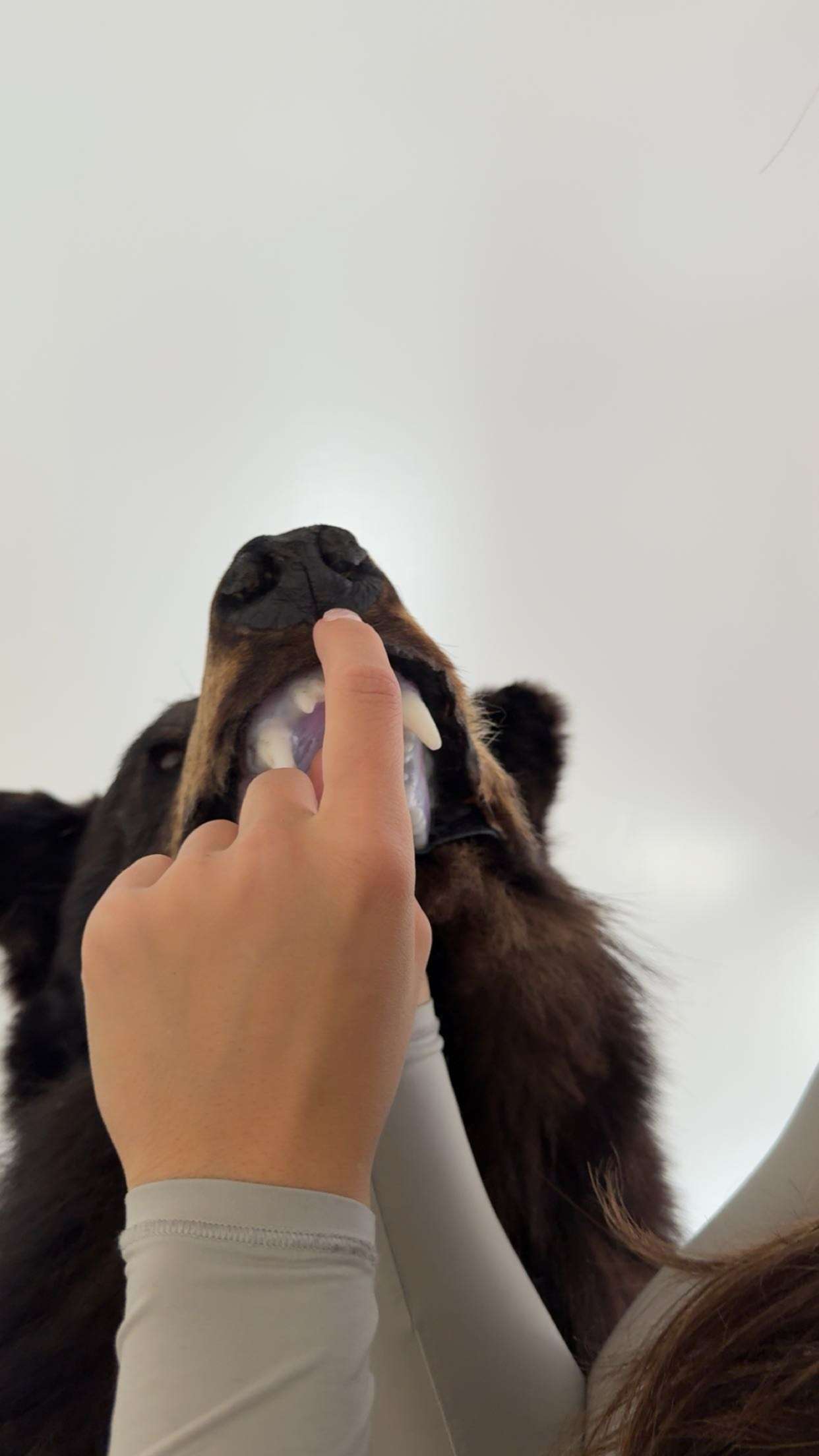 realhaylujan snapchat image archive image