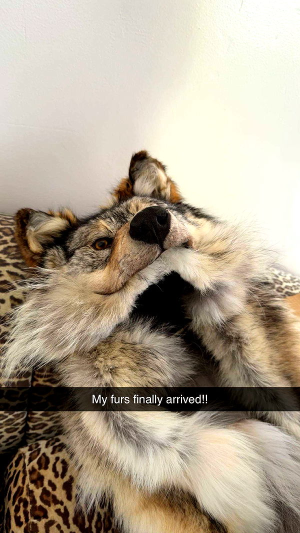 realhaylujan image ~ Altpins